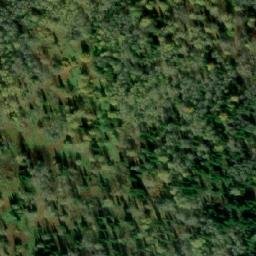Satellite imagery of Лесосека 9-я, RU