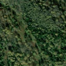 Satellite imagery of Лесосека 9-я, RU