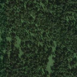Satellite imagery of Березовая, RU