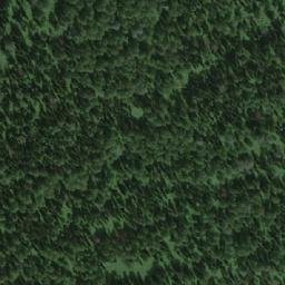 Satellite imagery of Березовая, RU