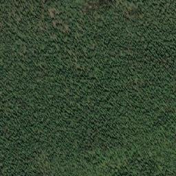 Satellite imagery of Beaverdam Pass, CA