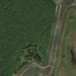 Satellite imagery of Dornbuschberg, DE