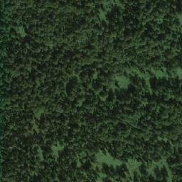 Satellite imagery of Березовая, RU