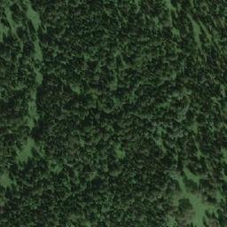 Satellite imagery of Березовая, RU
