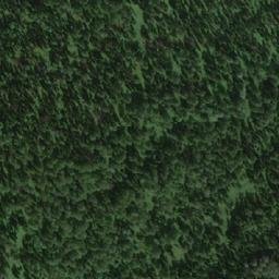 Satellite imagery of Березовая, RU