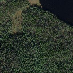 Satellite imagery of Saunders Hill, CA