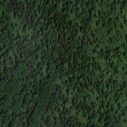 Satellite imagery of Верховье Сред. Шодровой, RU