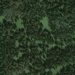 Satellite imagery of Березовая, RU