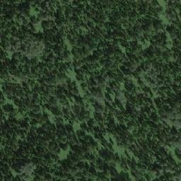 Satellite imagery of Березовая, RU