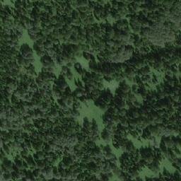 Satellite imagery of Березовая, RU