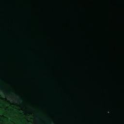 Satelita