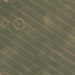 Satellite imagery of Fuchsberg, DE