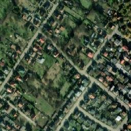 Satelita