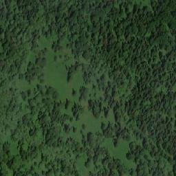 Satellite imagery of Верховье Сред. Шодровой, RU