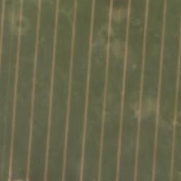 Satellite imagery of Wittenberg, DE