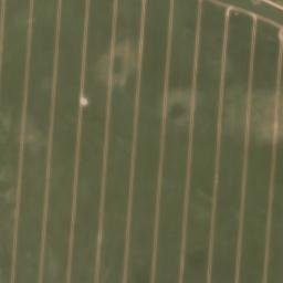 Satellite imagery of Wittenberg, DE