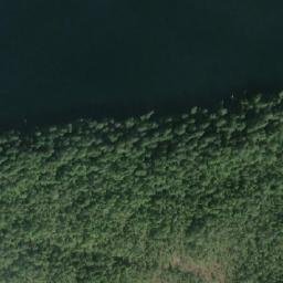 Satellite imagery of Logarithm Point, CA