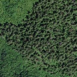 Satellite imagery of Collins Point, CA