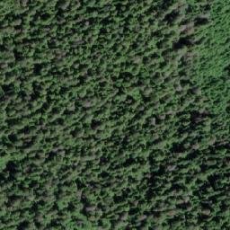 Satellite imagery of Collins Point, CA
