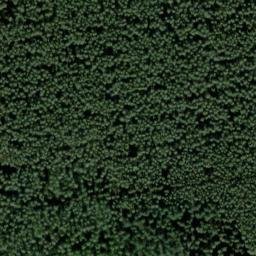 Satellite imagery of Grubenberg, DE