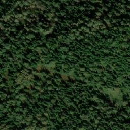 Satellite imagery of Устье Медвежьего Ключа, RU