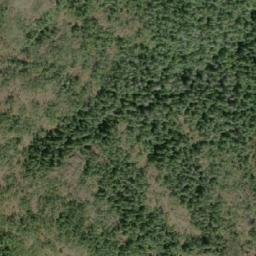 Satellite imagery of Sylvan Peak, CA