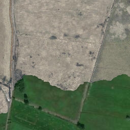 Satelita