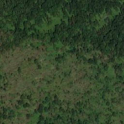 Satellite imagery of Пихтовый, RU