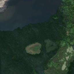 Satelita