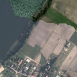 Satelita