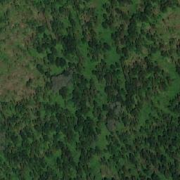 Satellite imagery of Пихтовый, RU