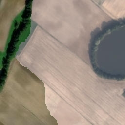 Satelita