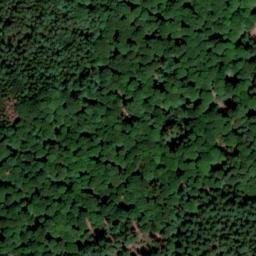 Satellite imagery of Hohenberg, DE