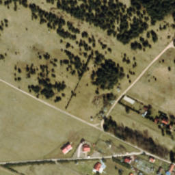 Satelita