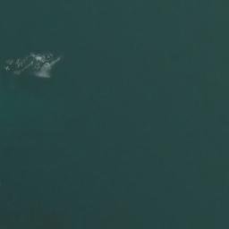 Satellite imagery of Carrickrana Rocks, IE