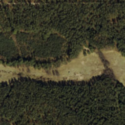 Satelita