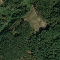 Satelita