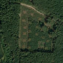 Satelita