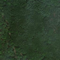 Satellite imagery of Fernsehturm Helpterberg, DE