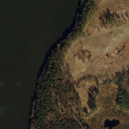 Satelita