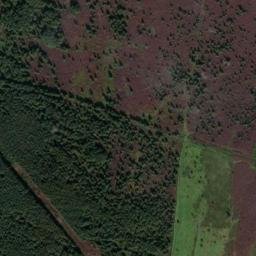 Satellite imagery of Wild Bank, GB