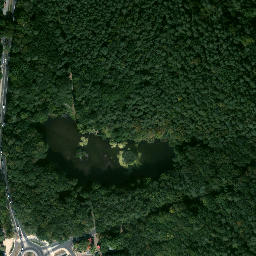 Satelita