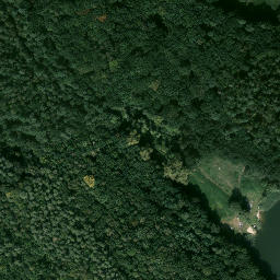 Satelita