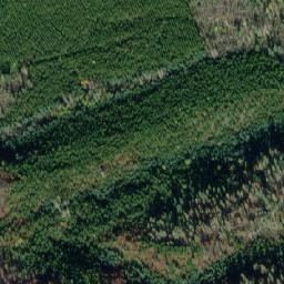Satellite imagery of Woodpecker Hill, CA
