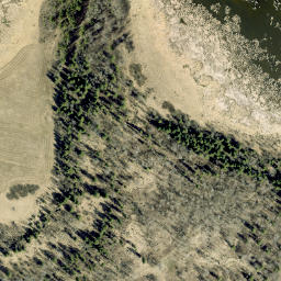 Satellite imagery of Military Point, CA