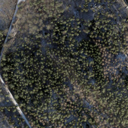 Satellite imagery of Reiherberg, DE
