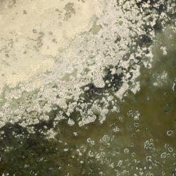 Satellite imagery of Military Point, CA