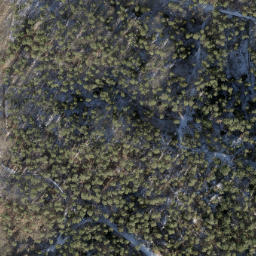 Satellite imagery of Wulmsberg, DE