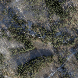 Satellite imagery of Reiherberg, DE