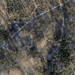 Satellite imagery of Reiherberg, DE